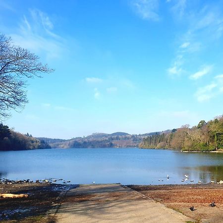 Whitehill Cottage Castlewellan Esterno foto