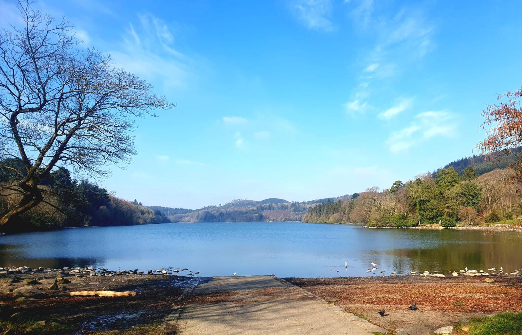 Whitehill Cottage Castlewellan Esterno foto