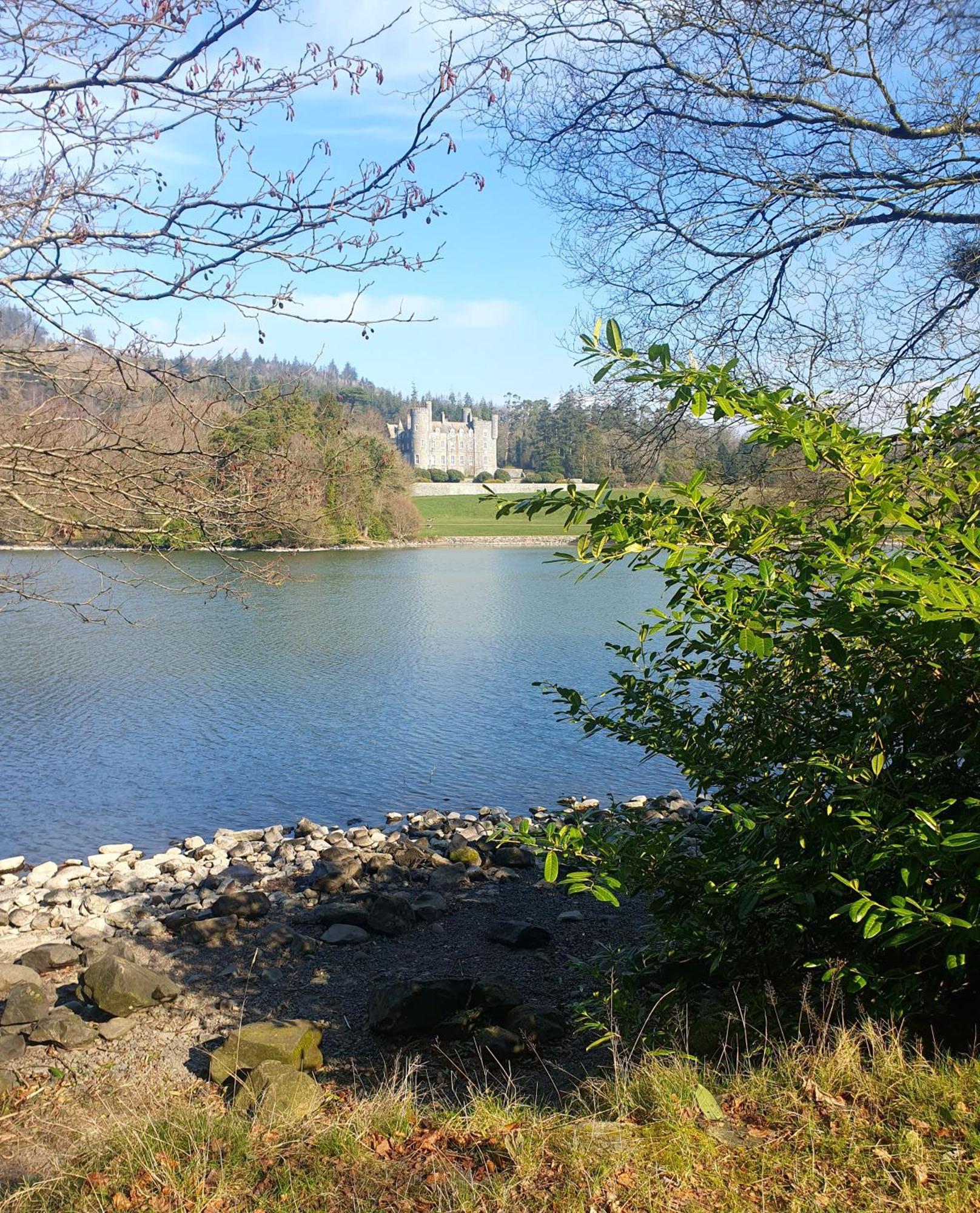 Whitehill Cottage Castlewellan Esterno foto
